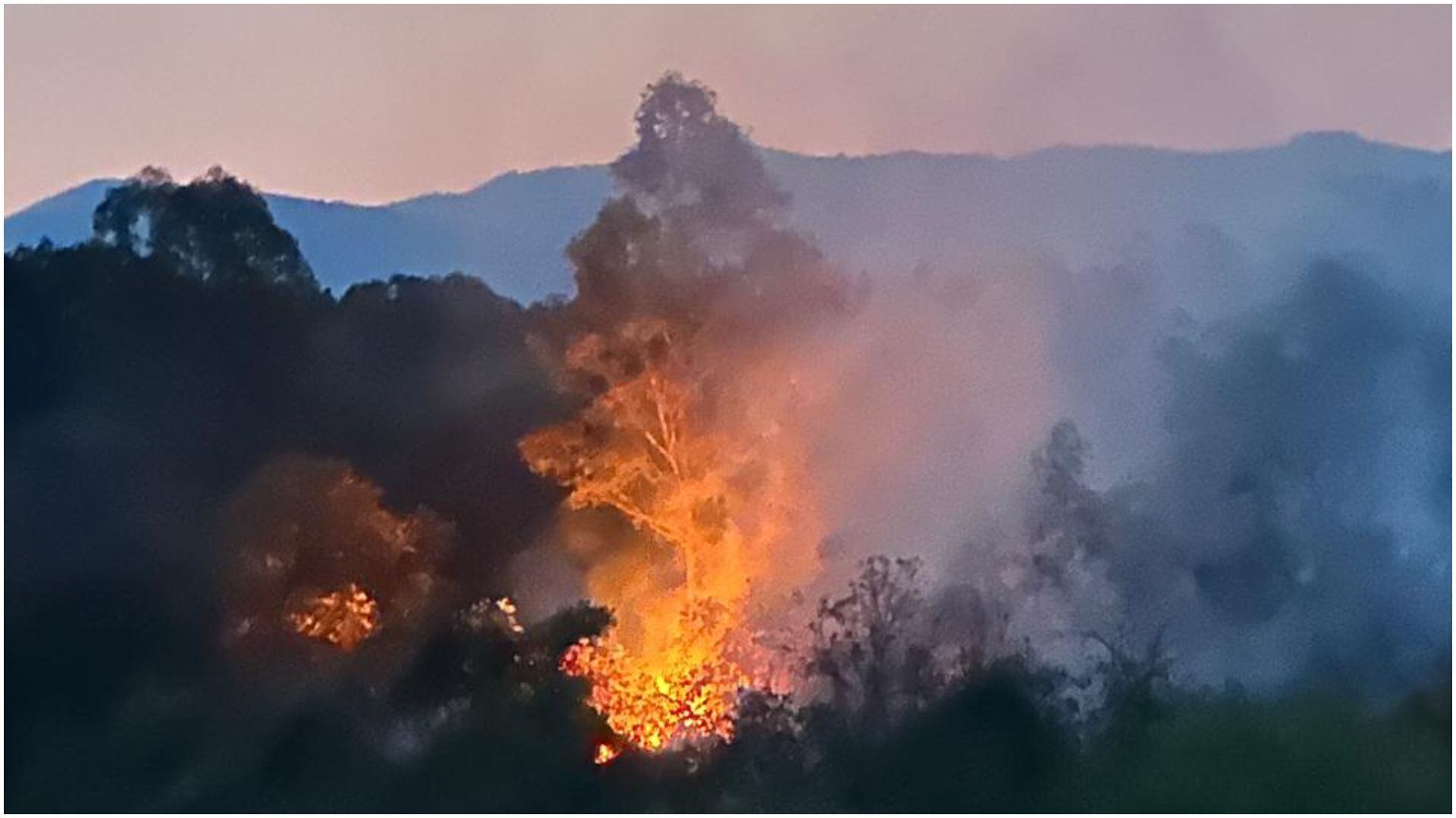 Incendio Bosque de Tlalpan