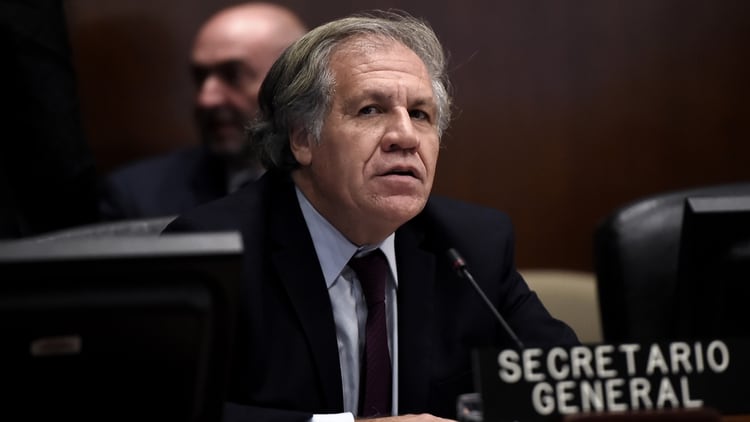 El Secretario General de la OEA, Luis Almagro. Foto: Olivier Douliery / AFP