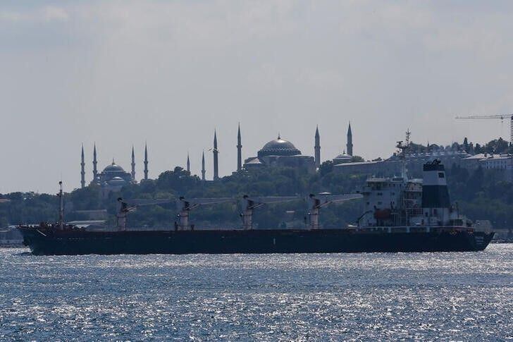 Imagen de archivo de un barco con bandera de Sierra Leona Razoni, que viaja cargado de grano ucraniano, durante su paso frente a Estambul, Turquía. REUTERS/Dilara Senkaya