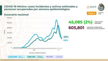 Gráfica de casos estimados y recuperados en el país (Foto: SSA)