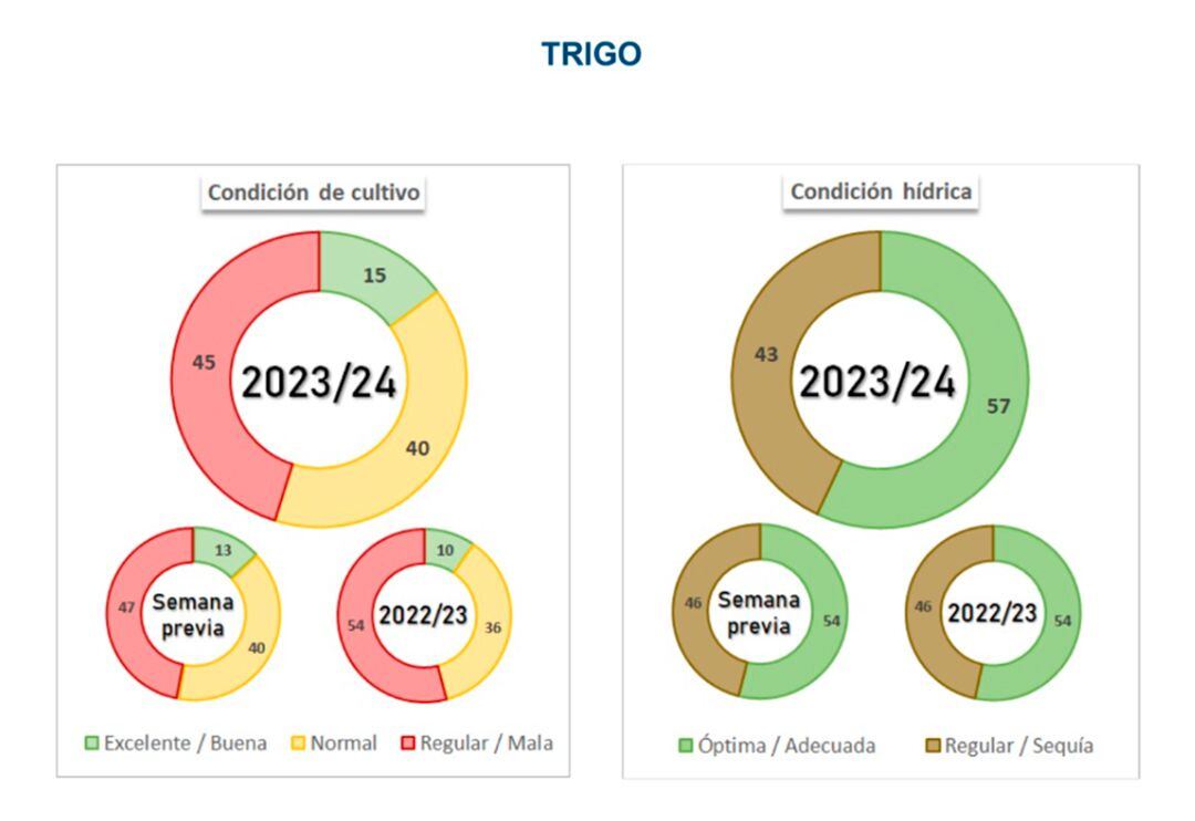 Trigo noviembre 2023