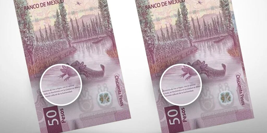 ¿Cuáles son los billetes de 50 pesos del ajolote que sí compran hasta en 5 mil pesos?