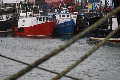 Barcos pesqueros permanecen amarrados en un puerto mientras los retrasos en las entregas debido al Brexit afectan a la pesca local en Troon, Escocia, el 11 de enero de 2021 (REUTERS/Russell Cheyne)