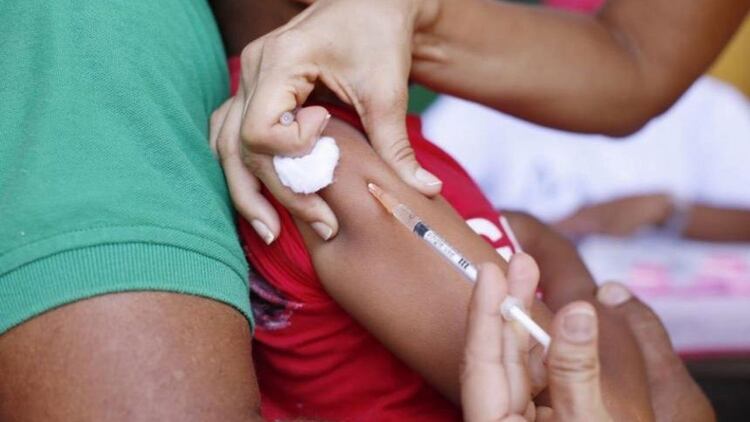 Las campañas de vacunación deben continuarse