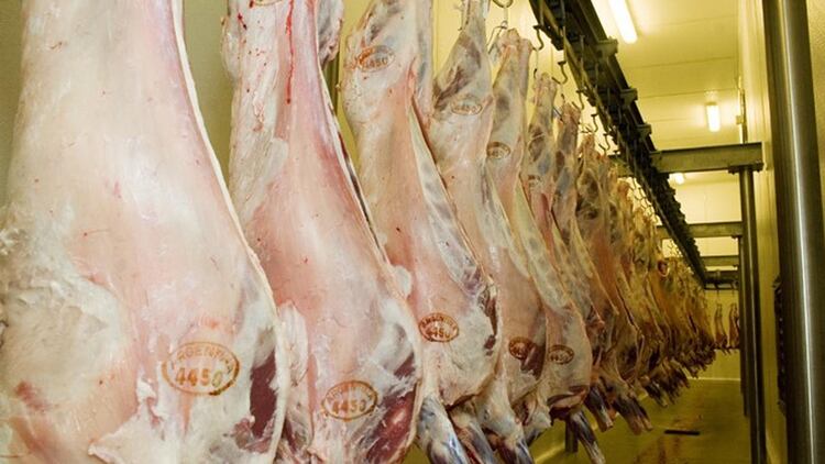 Resultado de imagen para La carne ovina se perfila como alternativa para incluir en la alimentaciÃ³n