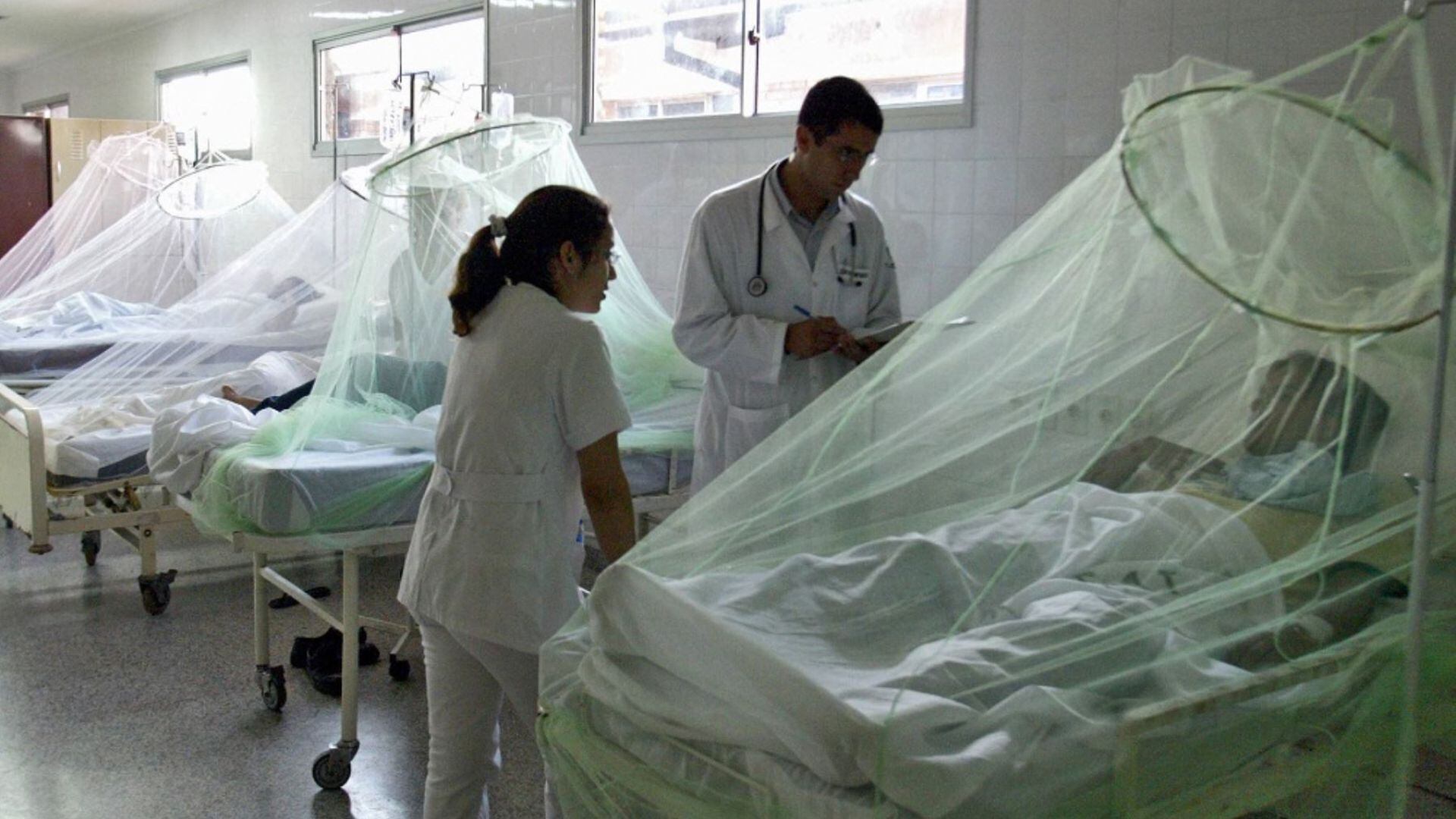 Dengue en Perú