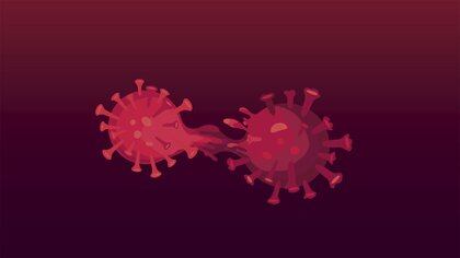 El SARS-CoV-2 muta menos que la gripe. Esto significa que acumula menos cambios en su genoma cada vez que este se copia dentro de una célula