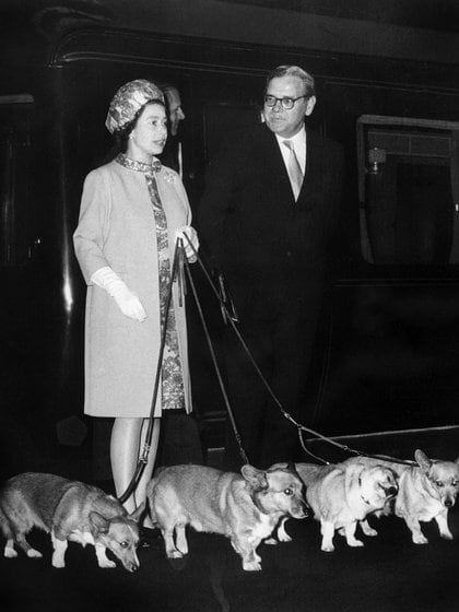 La Reina Isabel con cuatro de sus perros  de raza corgi en Londres, en octubre de 1969. Foto de archivo de STF / AFP