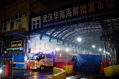 El mercado húmedo de Wuhan (NOEL CELIS / AFP)