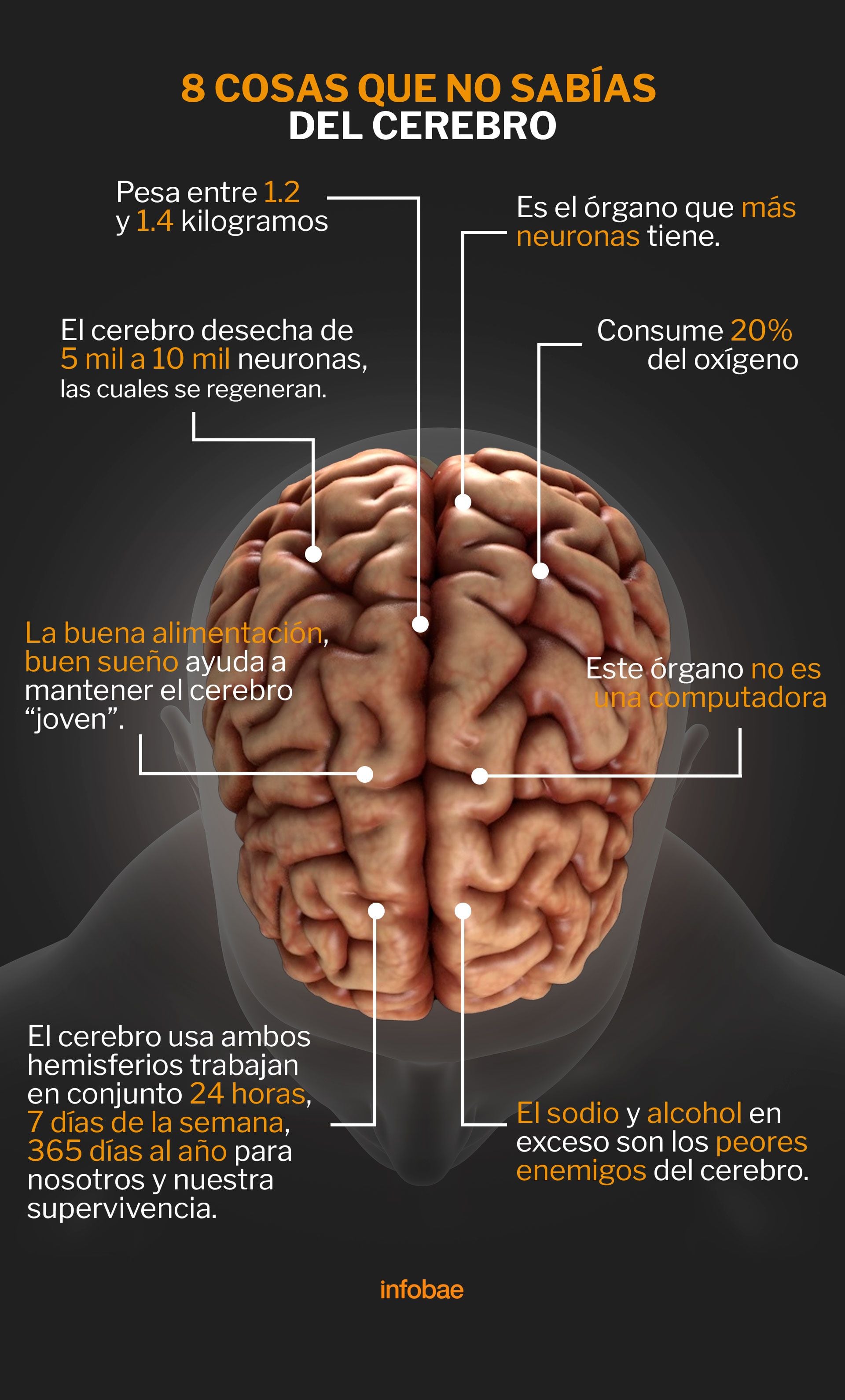 infografia