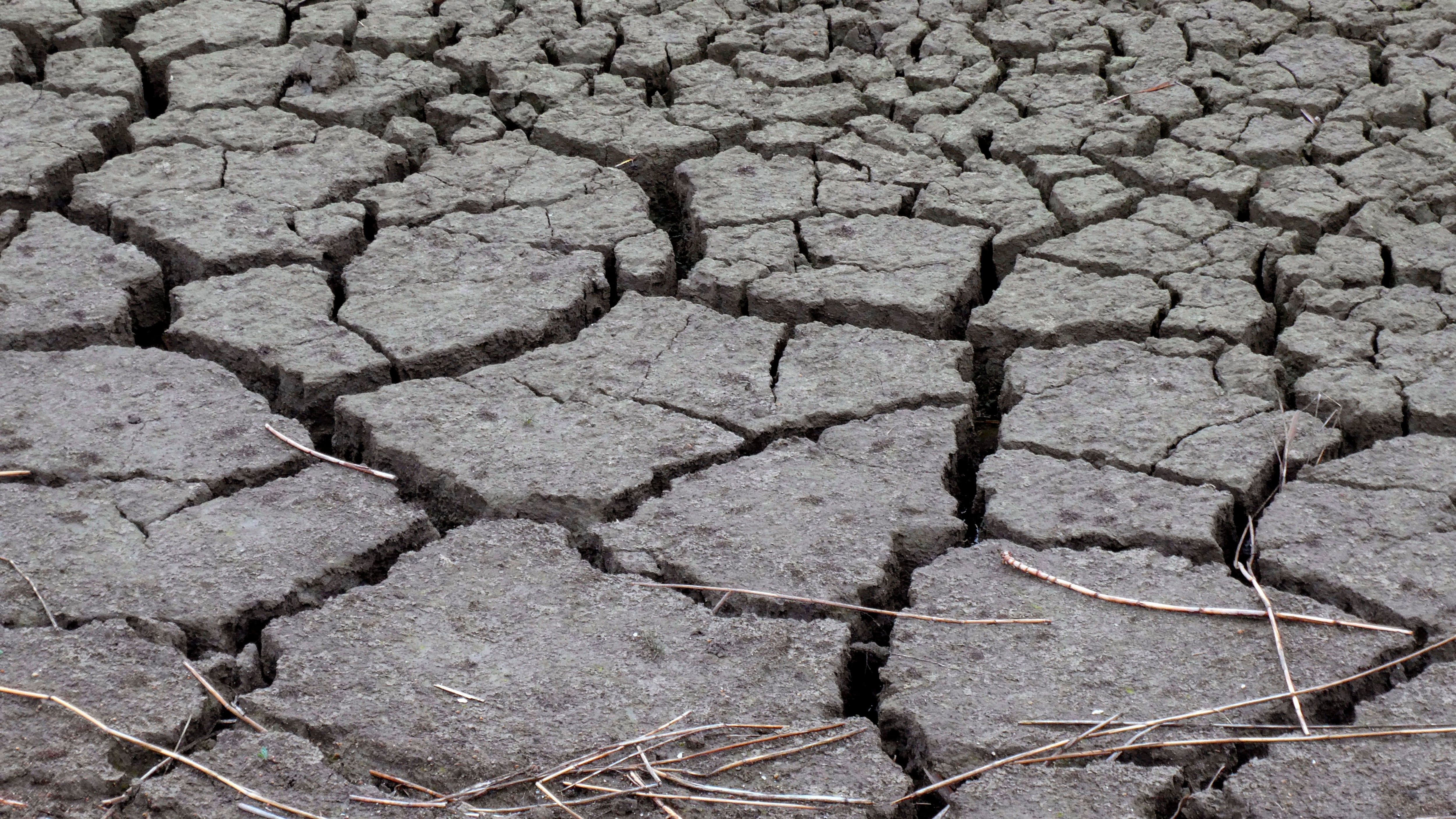 Vista del lecho seco del río Guadiana en Ciudad Real, producto de la sequía a raíz del cambio climático (EFE/ Beldad/Archivo)
