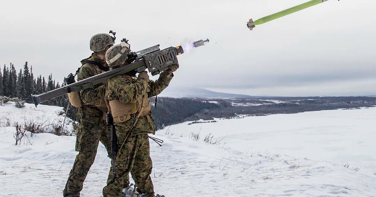 How about the Stingers, the portable missiles that the US sends to Ukraine to shoot down Russian planes?
