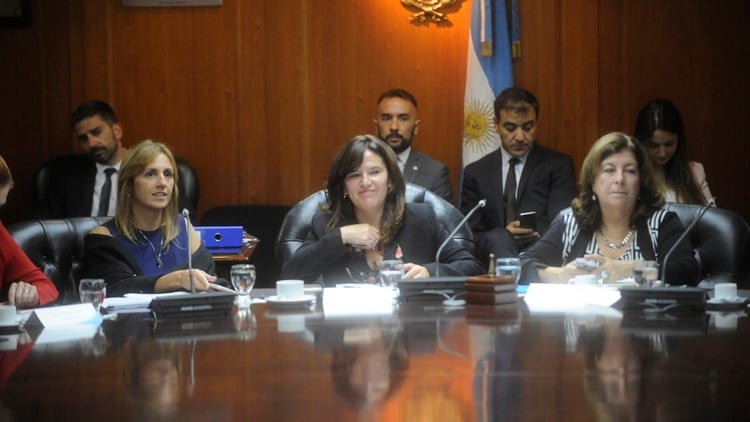Las consejeras Brizuela y Doria (centro), SÃ¡nchez Herrero (izq) y la Directora del Ministerio de Salud de la Provincia de Buenos Aires, Carmen Storani (der) (Dino Calvo)