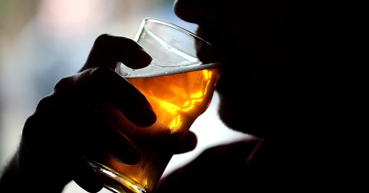 Homens que bebem cerveja por dia têm bactérias intestinais mais diversificadas, diz estudo