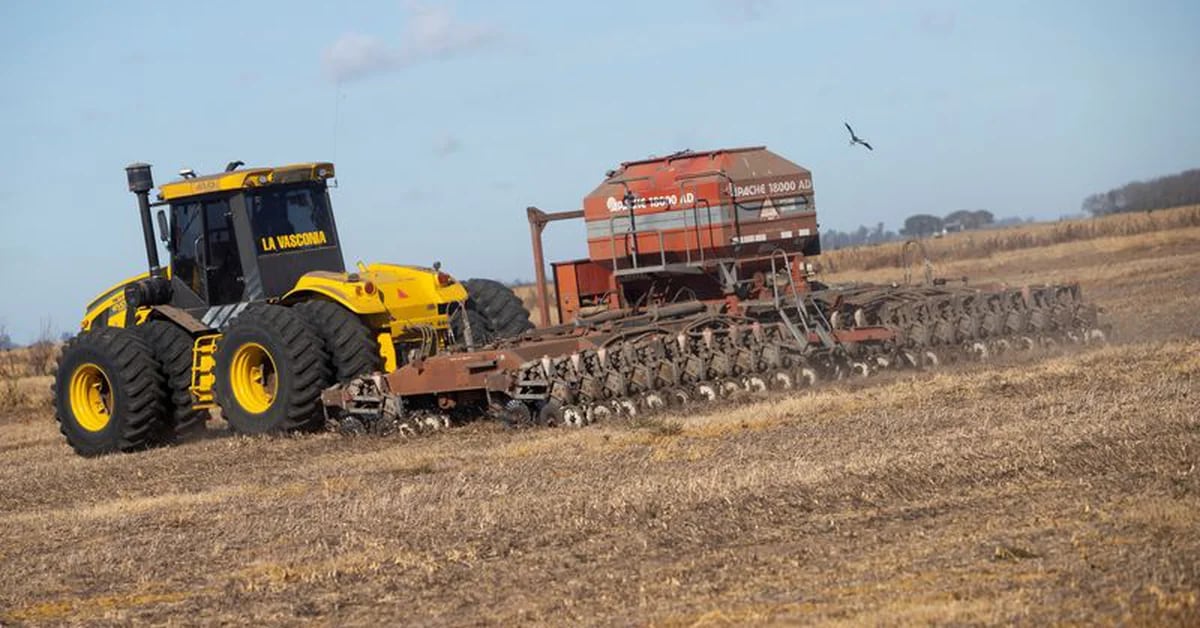 Due to the drought, the government has declared an agricultural emergency in Cordoba