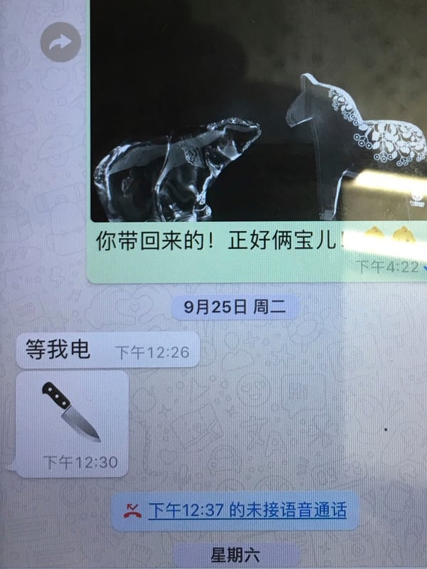Captura de pantalla con el Ãºltimo intercambio entre Meng Hongwei y su esposa a travÃ©s de Whatsapp (AP)