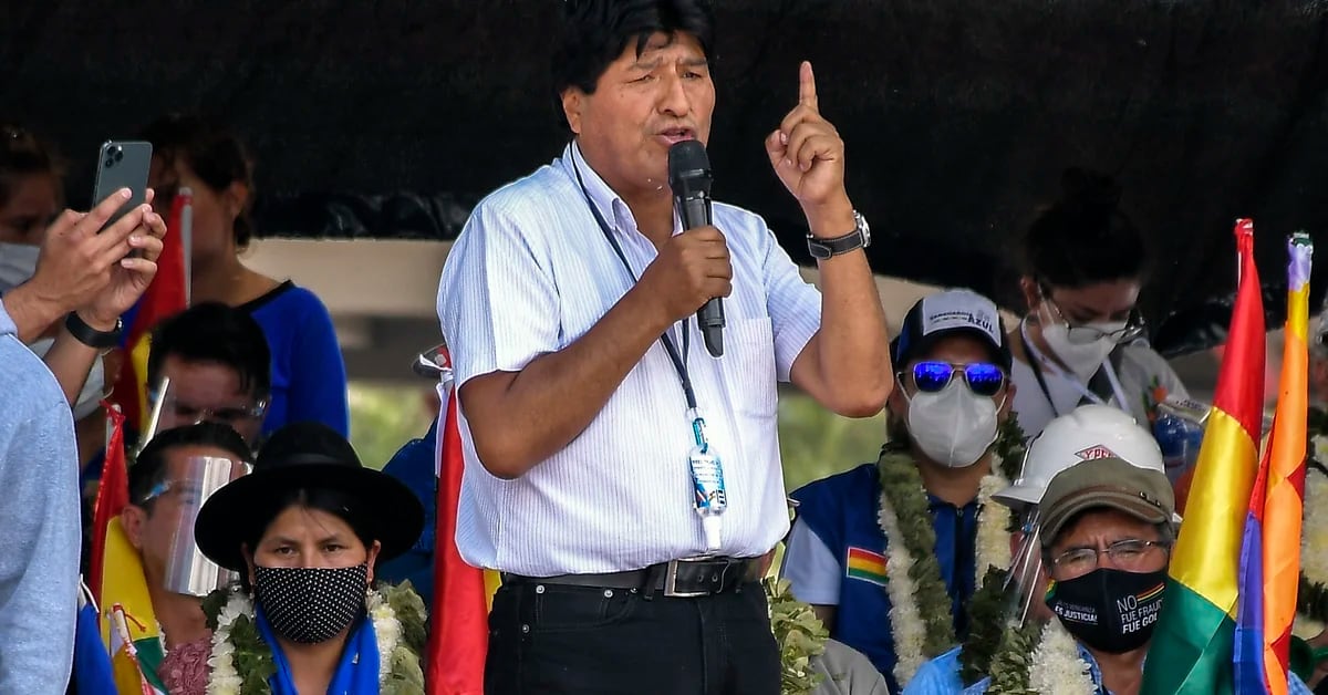 Why Evo Morales depends on the coca leaf to run for president
