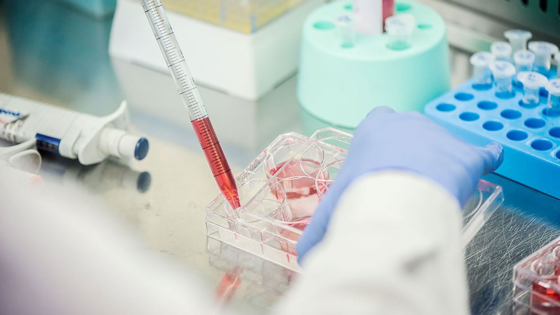 Según el ranking Scimago, el CONICET se ubica en el primer puesto de las instituciones gubernamentales de ciencia en América Latina y en el puesto trece  a nivel mundial (CONICET / Verónica Tello)