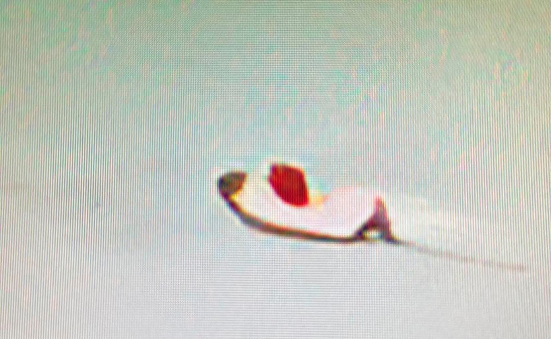 Kayak que desapareció en Pinamar