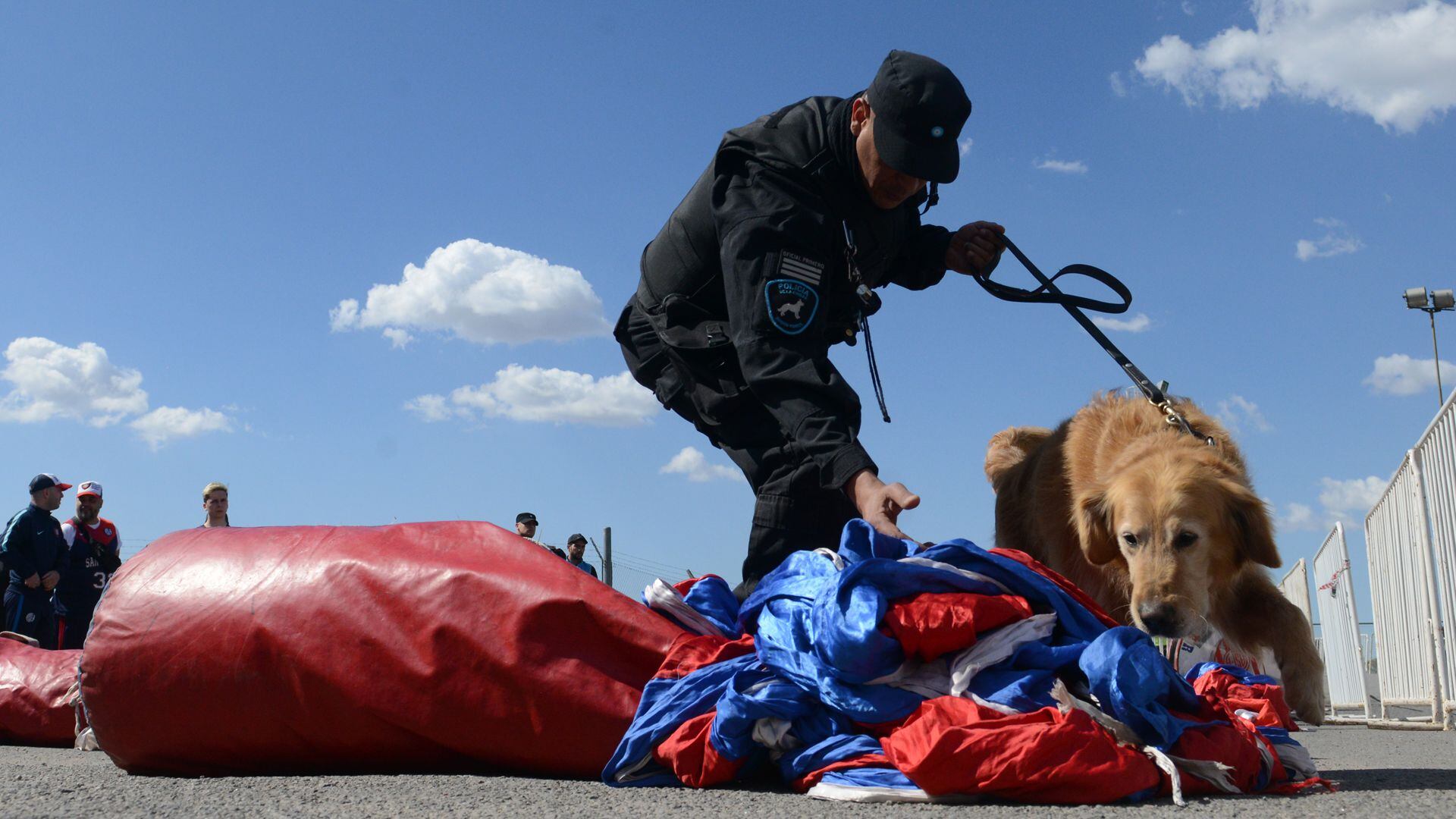 La misión de los perros en las canchas es olfatear los bombos y banderas de la barra brava del club para descartar la presencia de estupefacientes. Foto: Fernando Calzada.