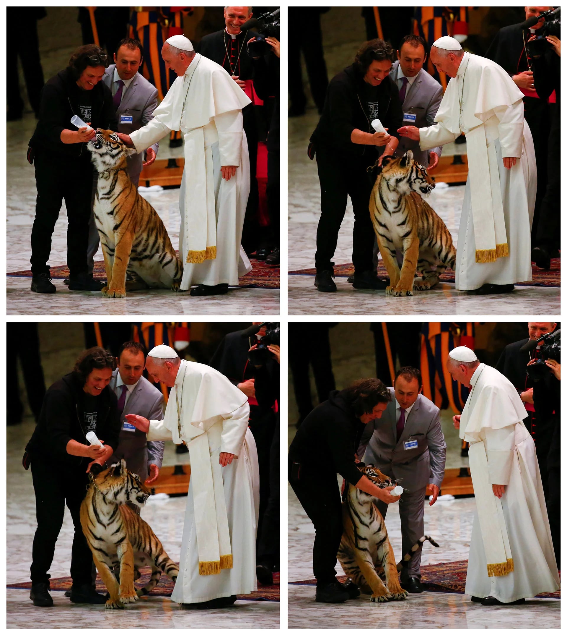 El Papa acaricia la cabeza del tigre con un gesto cauteloso (Reuters)