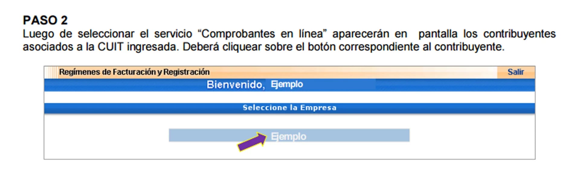 El nombre del contribuyente deberá aparecer en pantalla