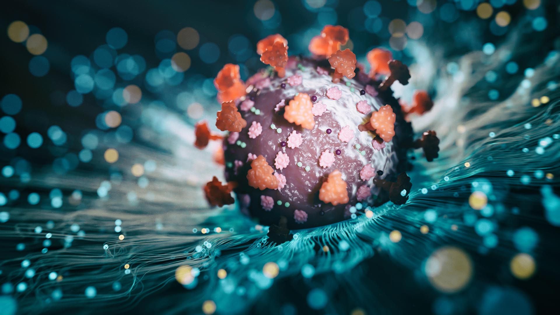 Se están rastreando tres sublinajes de la variante Ómicron del coronavirus en su categoría “variante de interés”: XBB.1.5, XBB.1.16 y EG.5 (Eris). También tiene otros 7 sublinajes en seguimiento. Una de ella es BA.2.86, que ya llamaron Pirola de manera informal (koto_feja / Getty)