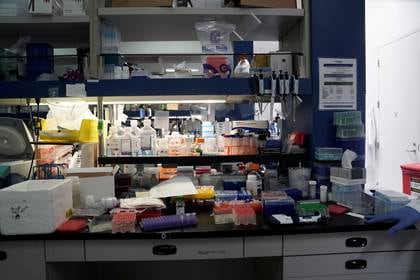 Un laboratorio en EEUU donde trabajan en el desarrollo de la vacuna contra el coronavirus REUTERS/Bing Guan