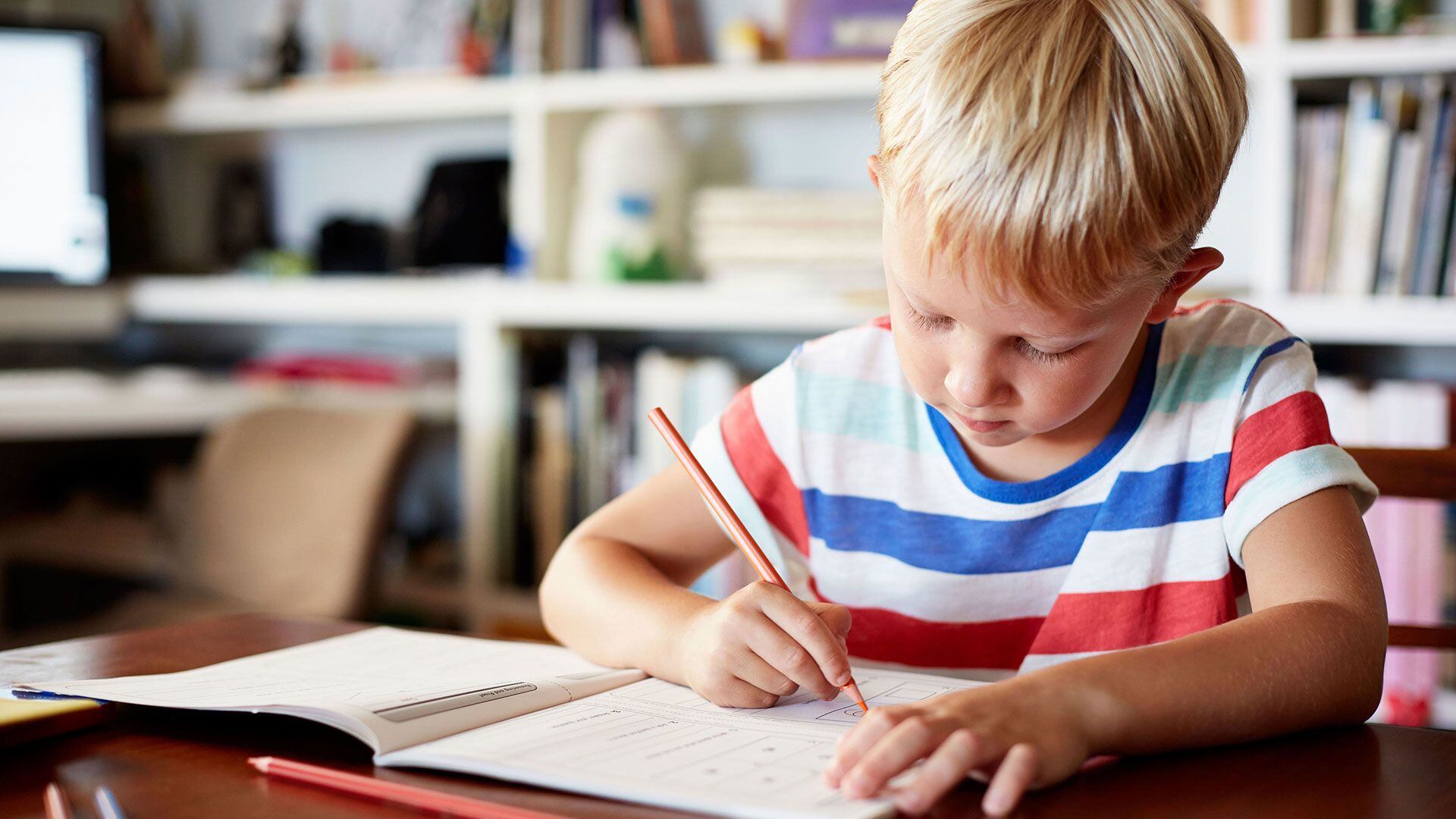 Se debe encaminar la educación en reforzar la creatividad de los niños. (Foto: Shutterstock)
