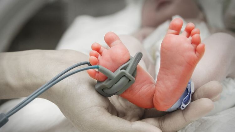 En la Argentina nacen por año 7.500 niños con un peso igual o inferior a los 1.500 gramos (Shutterstock)