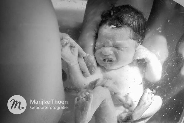 El recién nacido continúa en un ambiente líquido y todavía tiene el cordón umbilical sin cortar (Marijke Thoen)