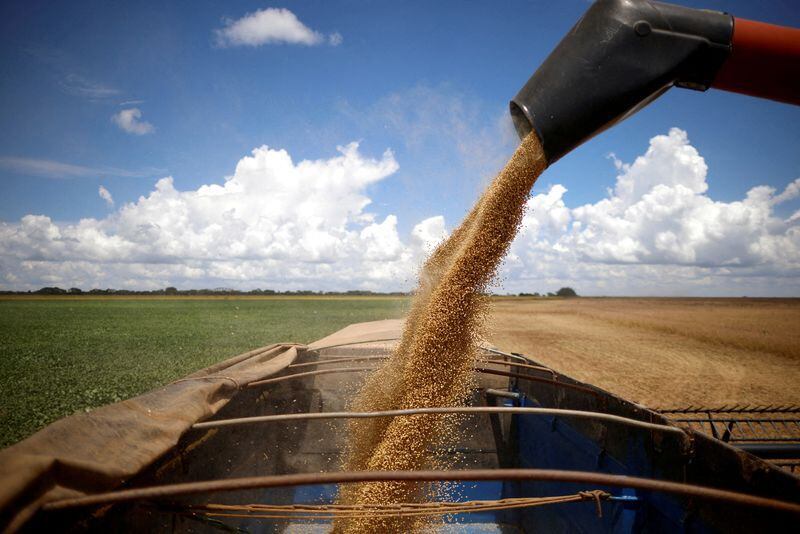 Foto de archivo de un camión siendo cargado con soja en Luziania, estado de Goias
Feb 9, 2023. REUTERS/Adriano Machado/