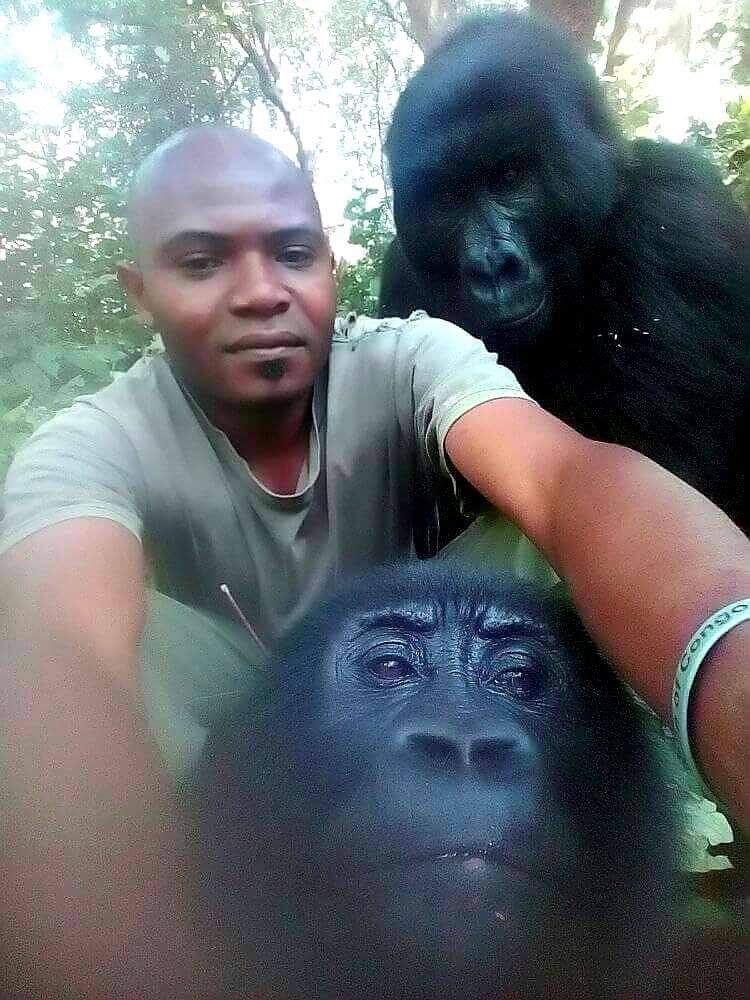 âUn dÃ­a mÃ¡s en la oficinaâ, escribiÃ³ uno de los protectores de gorilas, que se encargan de evitar que los cazadores furtivos irrumpan en el parque (Foto: Facebook @The Elite AntiPoaching Units And Combat Trackers)