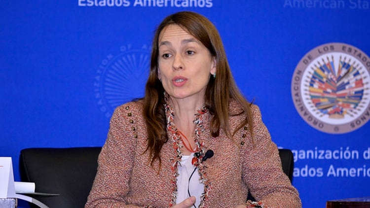 Laura Pautassi (gentileza OEA)