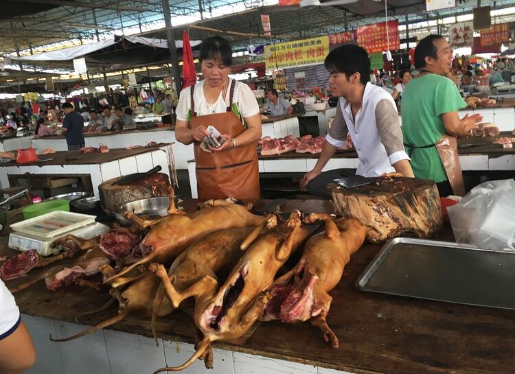 Al igual que los festivales occidentales en los que vacas, cerdos y polos son asados o cocinados, en Yulin sucede con los perros, lo que despertó el repudio mundial. (AFP)