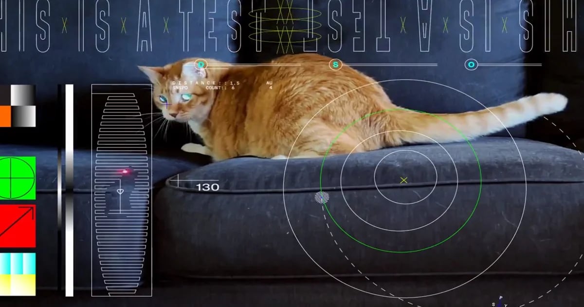 NASA has released a video of a cat 30 million kilometers into space