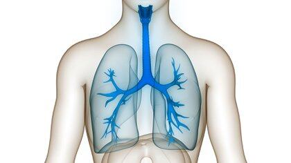 Se considera que la tuberculosis es una enfermedad respiratoria que afecta a los pulmones. Pero la nueva revisión publicada por el equipo del médico argentino Adrián Baranchuk demuestra que la bacteria de la tuberculosis puede producir un gran impacto en el sistema cardiovascular. Si se lo controla desde el principio, es mejor para el paciente (Shutterstock)