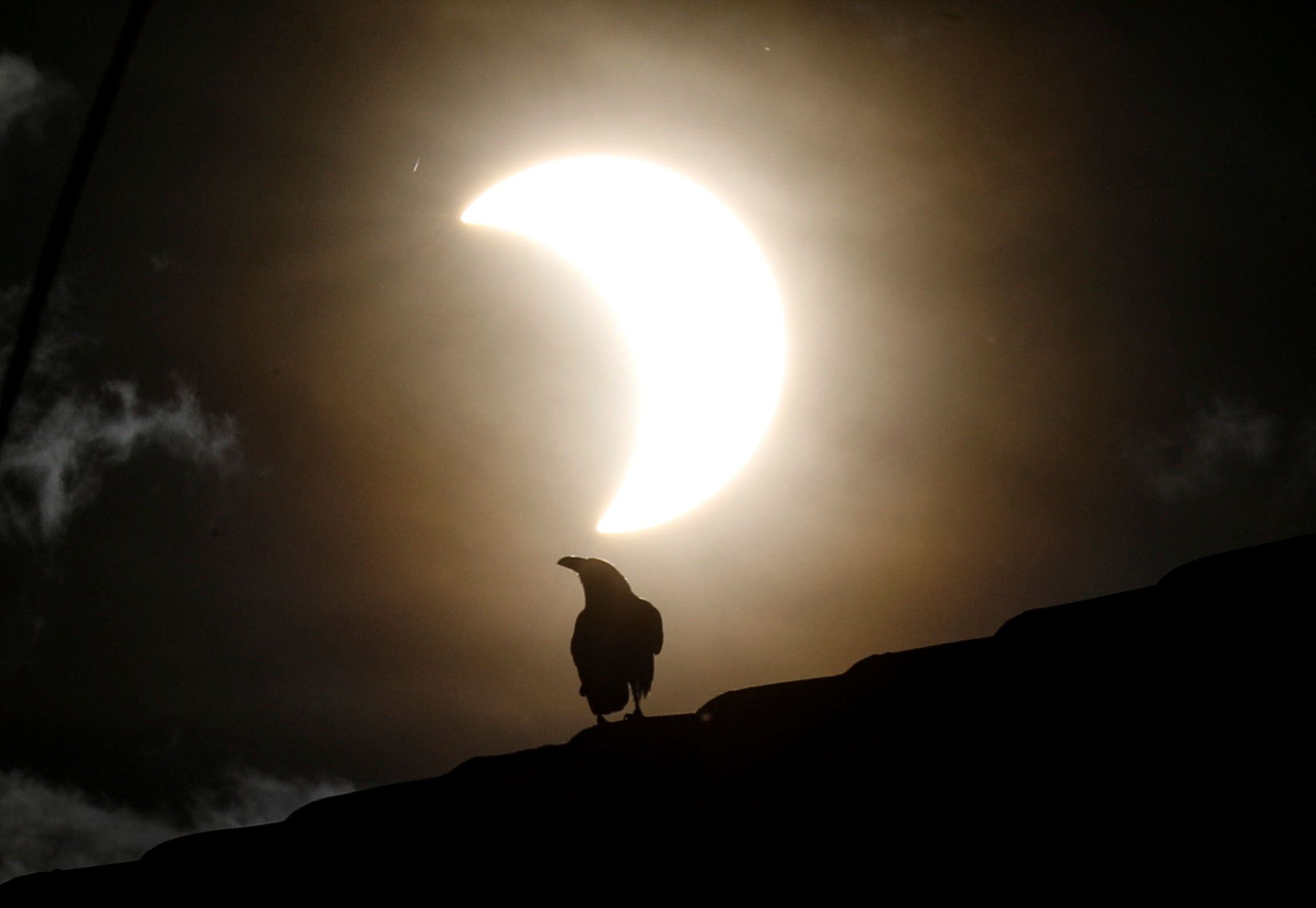 A crow stands on a roof as a partial solar eclipse is observed in Nairobi, Kenya, June 21, 2020. REUTERS/Baz Ratner