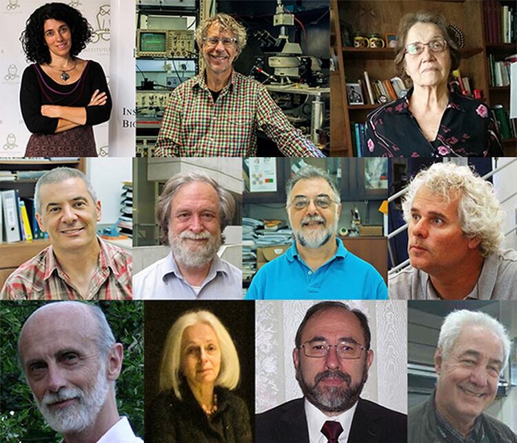 Los once investigadores argentinos incorporados a la Academia de Ciencias de América Latina (Instituto Leloir)