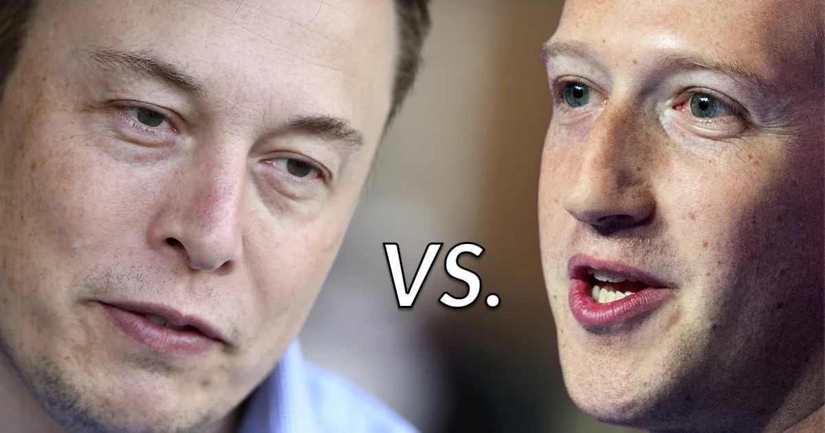 Elon Musk dice di essere d’accordo con Giorgia Meloni sul fatto che la sua lotta contro Mark Zuckerberg sarà combattuta in un “luogo epico” in Italia.