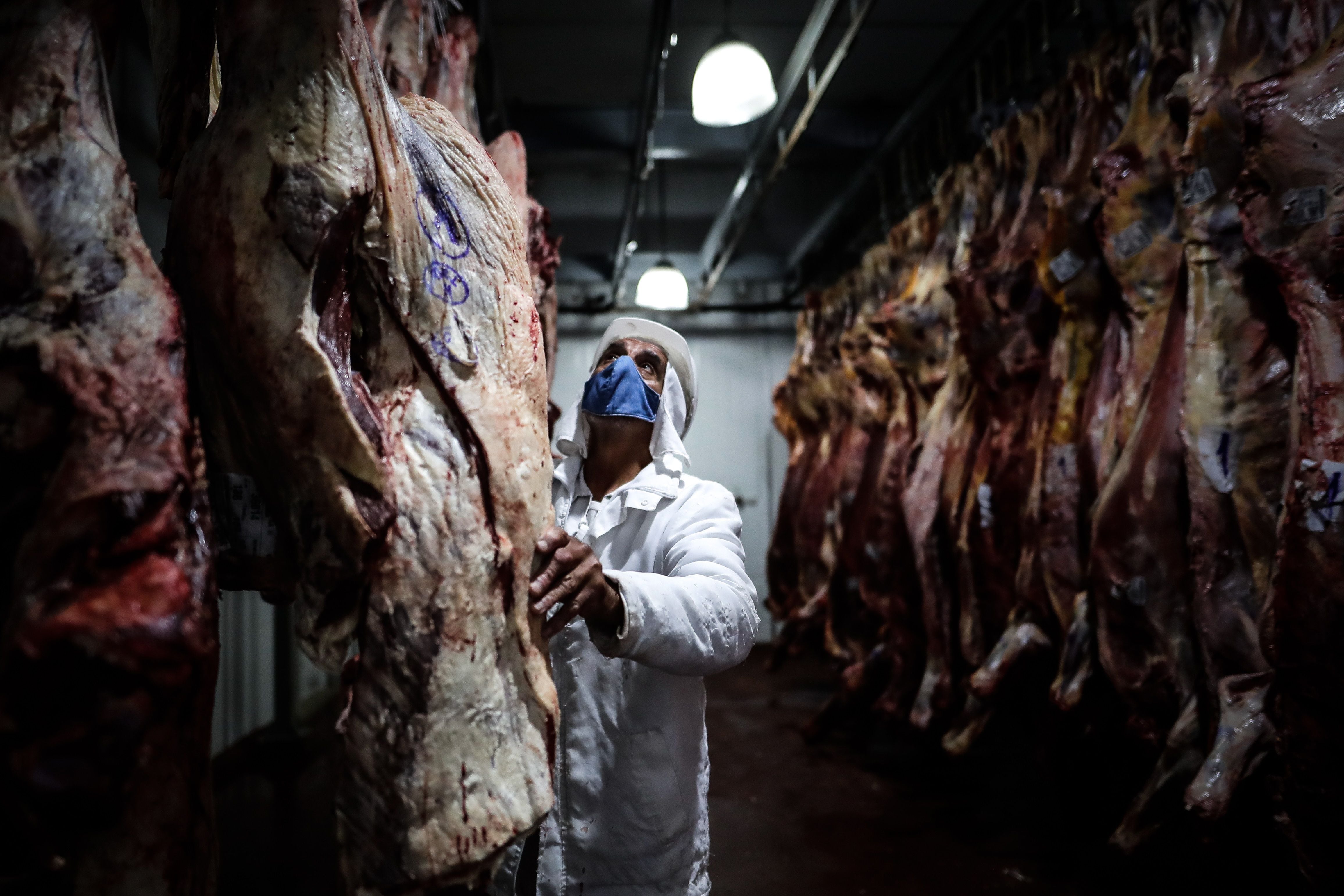 Empleados de un frigorífico trabajan con carne vacuna (EFE/Juan Ignacio Roncoroni)

