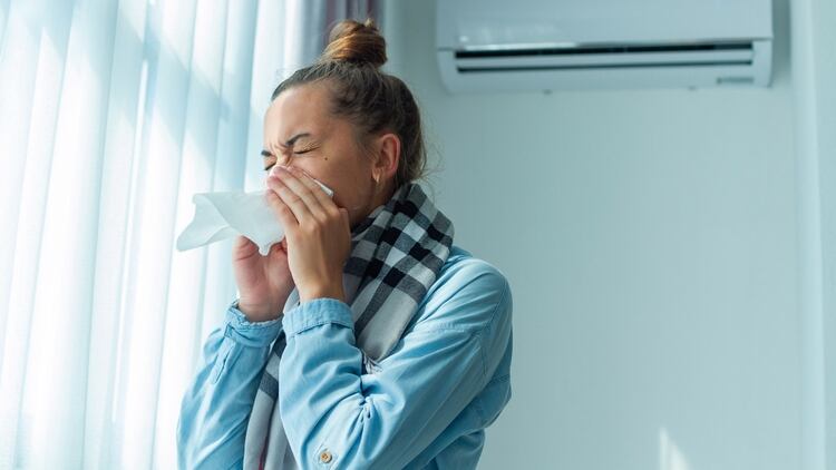 El uso inadecuado del aire acondicionado produce síntomas y los que más sufren son las personas alérgicas (Shutterstock)