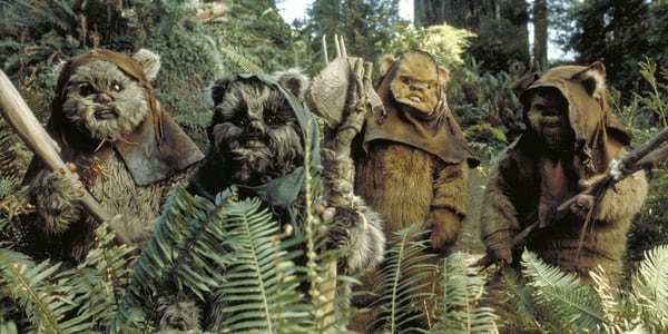 Ewoks de Star Wars. Los turistas britÃ¡nicos creyeron que podrÃ­a tratarse de una especie de monos similares a estos personajes de ficciÃ³n