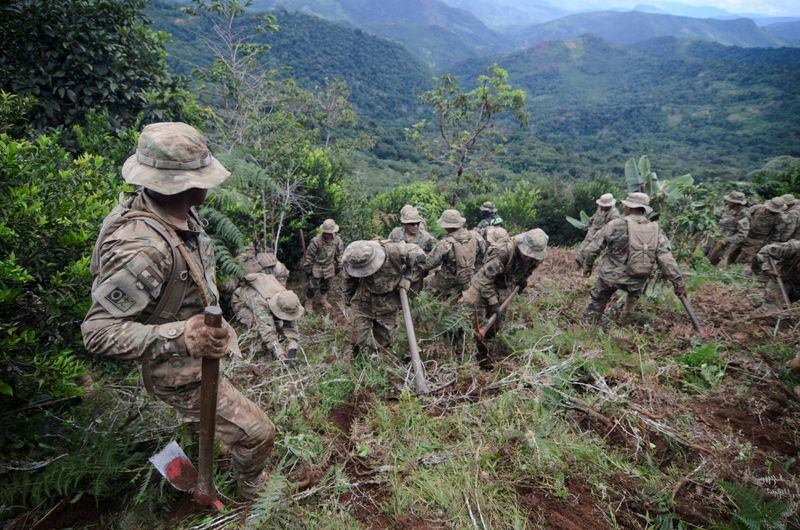 Soldados bolivianos destruyen plantas de coca durante programa de erradicación, Los Yungas, Bolivia, 14 mayo 2021. (REUTERS/Claudia Morales)