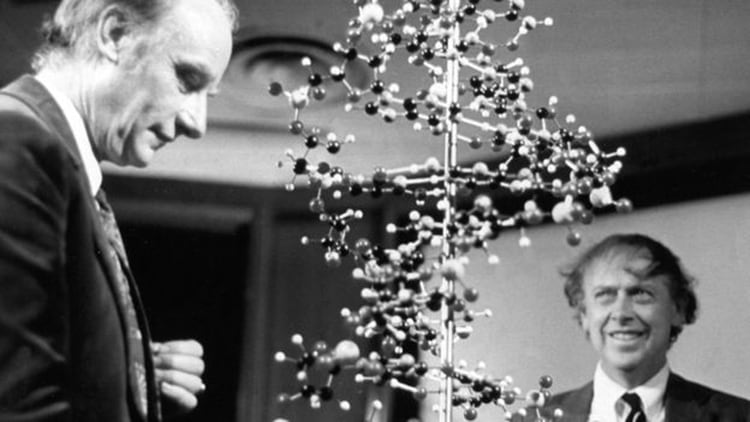 Francis Crick, trabajando con el ADN y la genética. 