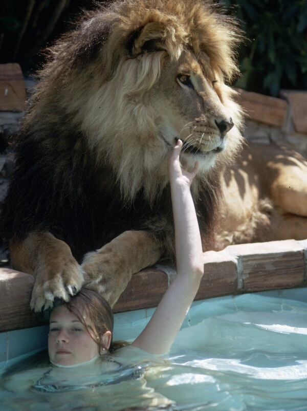 Melanie con el león en la piscina.