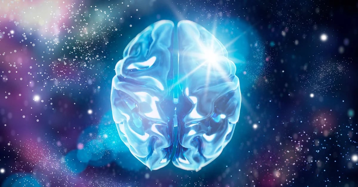 El sorprendente parecido del cerebro humano y el universo, según un reconocido investigador - Infobae