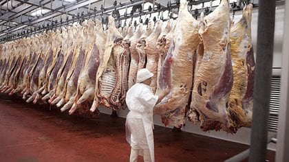 Las exportaciones de carne vacuna podrían superar este año a las 900 mil toneladas 
