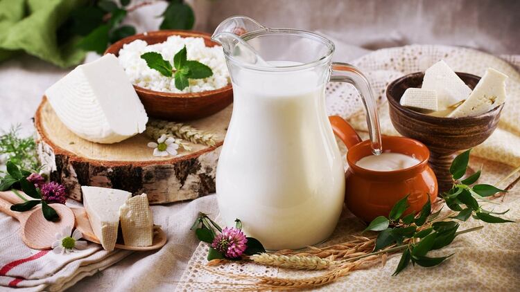 El consumo de lácteos durante toda la vida, especialmente en la infancia y adolescencia es clave para tener huesos fuertes en la adultez (Shutterstock)