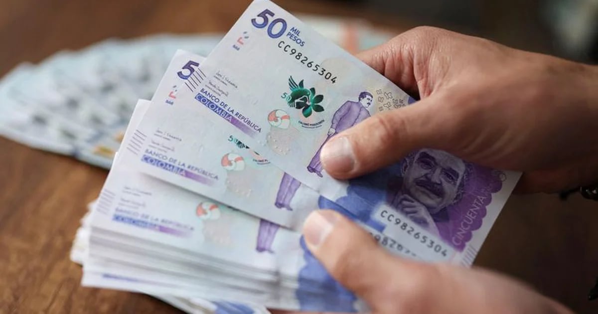 Con 5.000 pesos, tolimense se convirtió en multimillonario: esta es la cuantiosa cifra que ganó en la loteria – infobae
